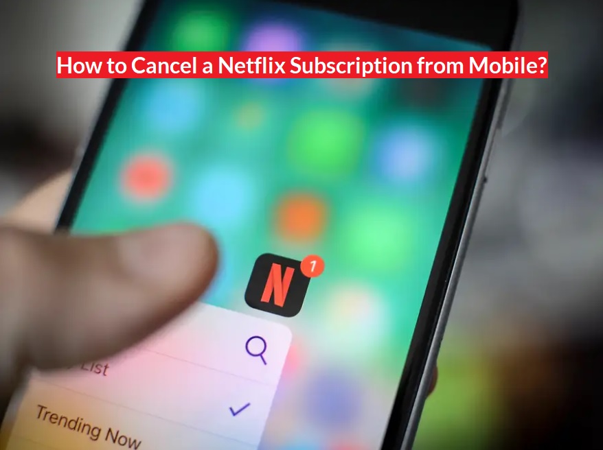 Cancel a Netflix Subscription