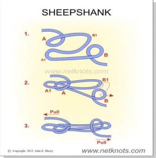 What is a synonym for sheepshank
