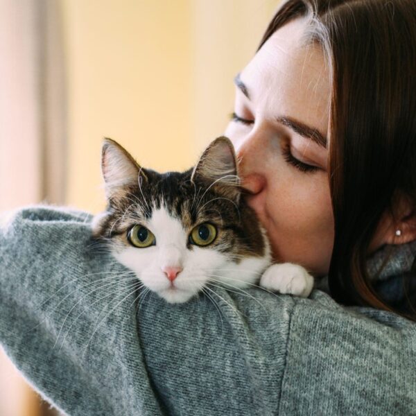 woman home holding cat hands 763847276 1 e1666649187598