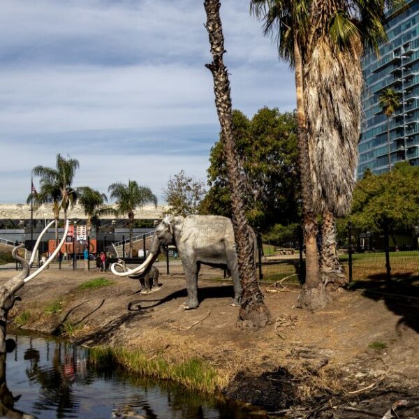 1207748 sci tar pits geological site 1 gmf