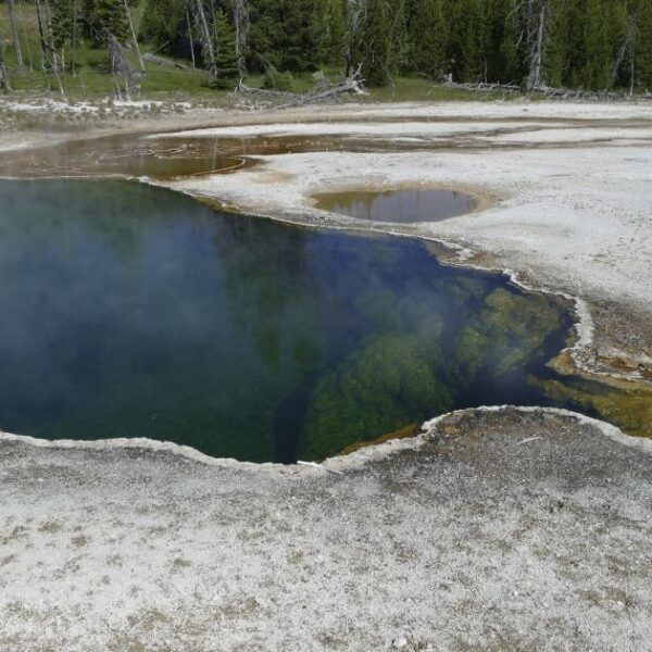 yellowstone hot spring foot found 44491